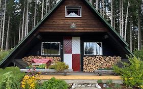 Berghütte Waldheimat