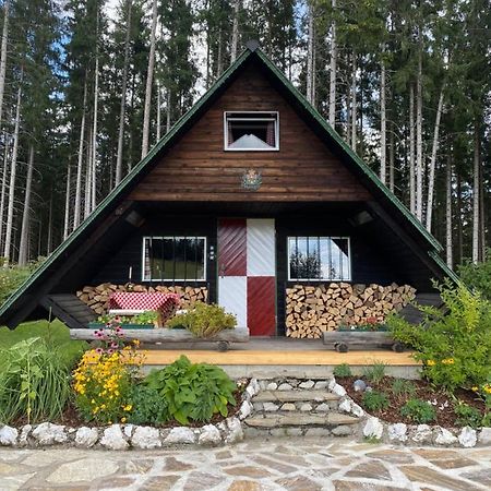 Villa Berghütte Waldheimat Ratten Exterior foto